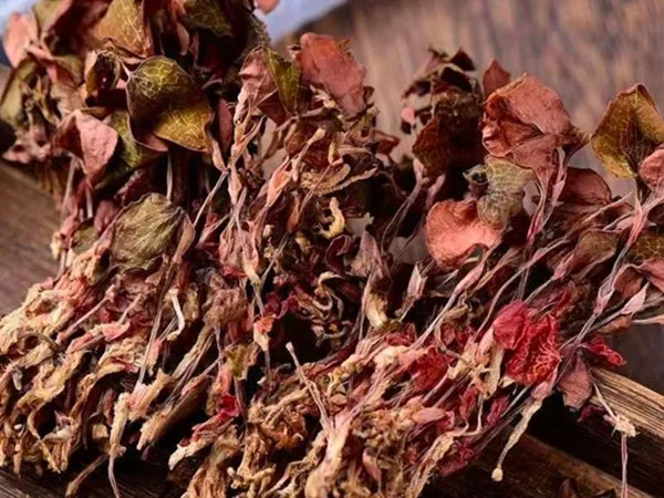 सुपर ग्रेड ड्राईड एनोएक्टोचिलस रॉक्सबर्गी स्पेशॅलिटी मार्केटमध्ये आले