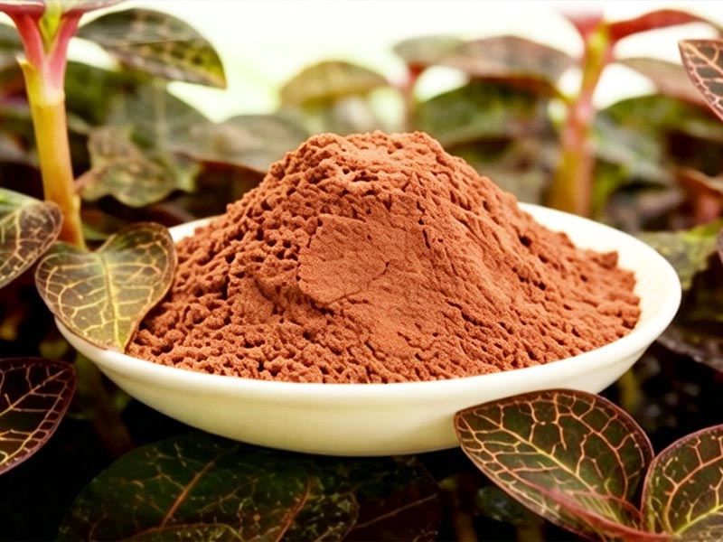Ice-Snow Anoectochilus Roxburghii Freeze-Dried Powder